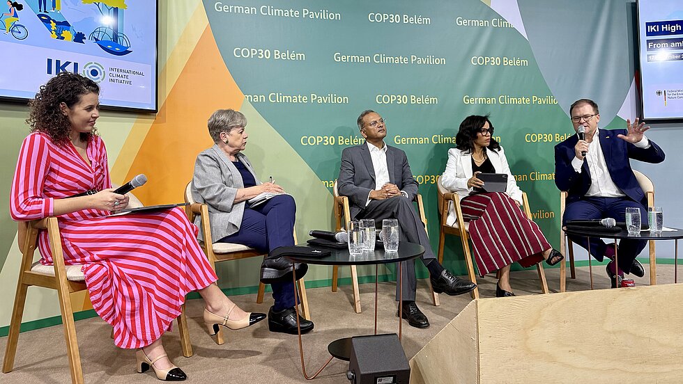 © Panelistas en el Evento IKI, BMUKN