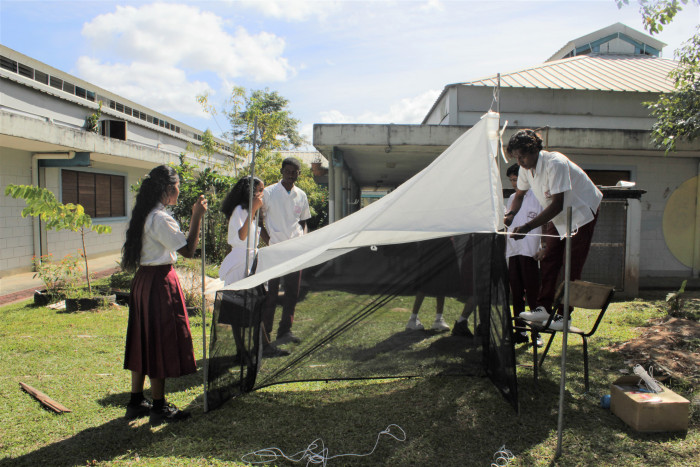 Student training for malaise trap.