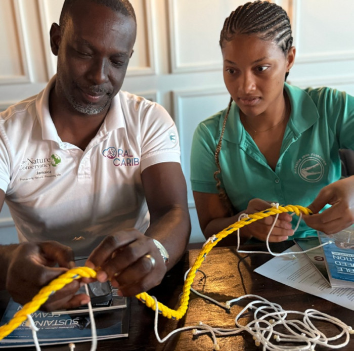 Arreglando redes de soluciones