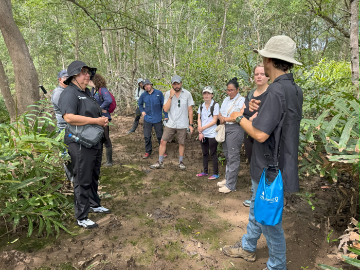 Participantes de la gira en el manglar