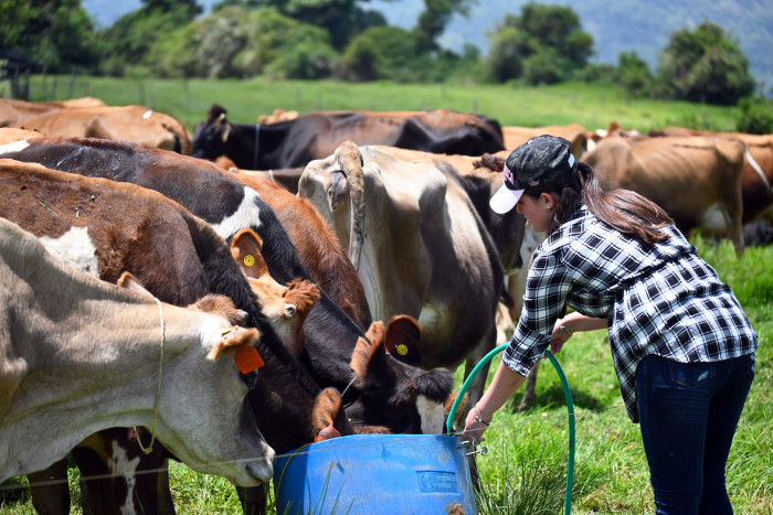 Foto Valentina y vacas