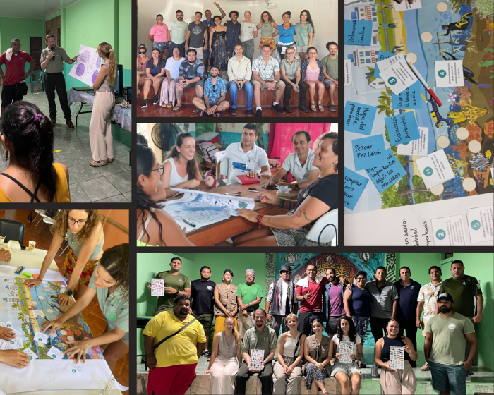 Collage of Raising Coral activities