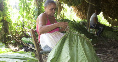 Mujer haciendo una salta de tabaco durante el dialogo comunitario en Santiago 