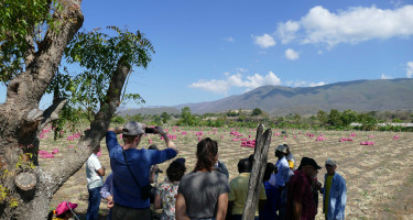 Grupo de personas en una finca.