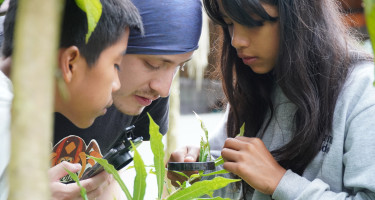 youth watching plants