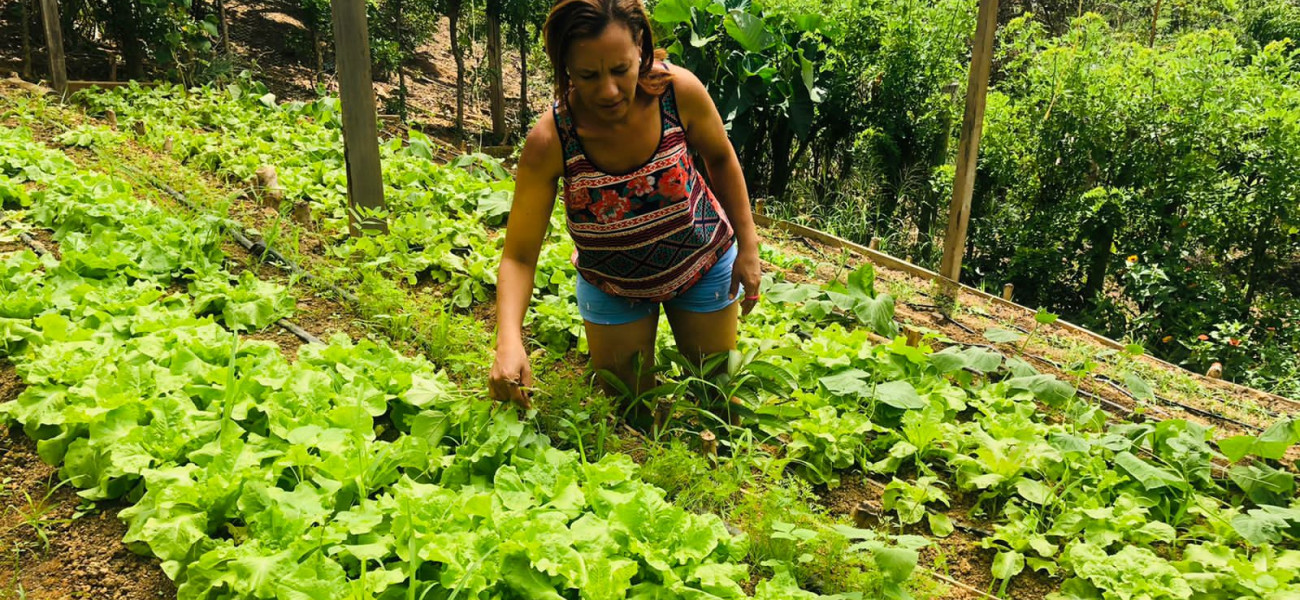 mujer afrodescendiente realianado tareas en huerta