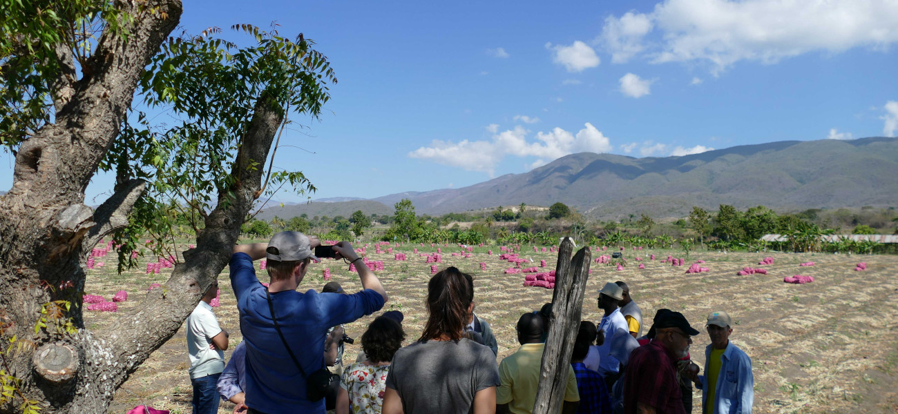 Grupo de personas en una finca.