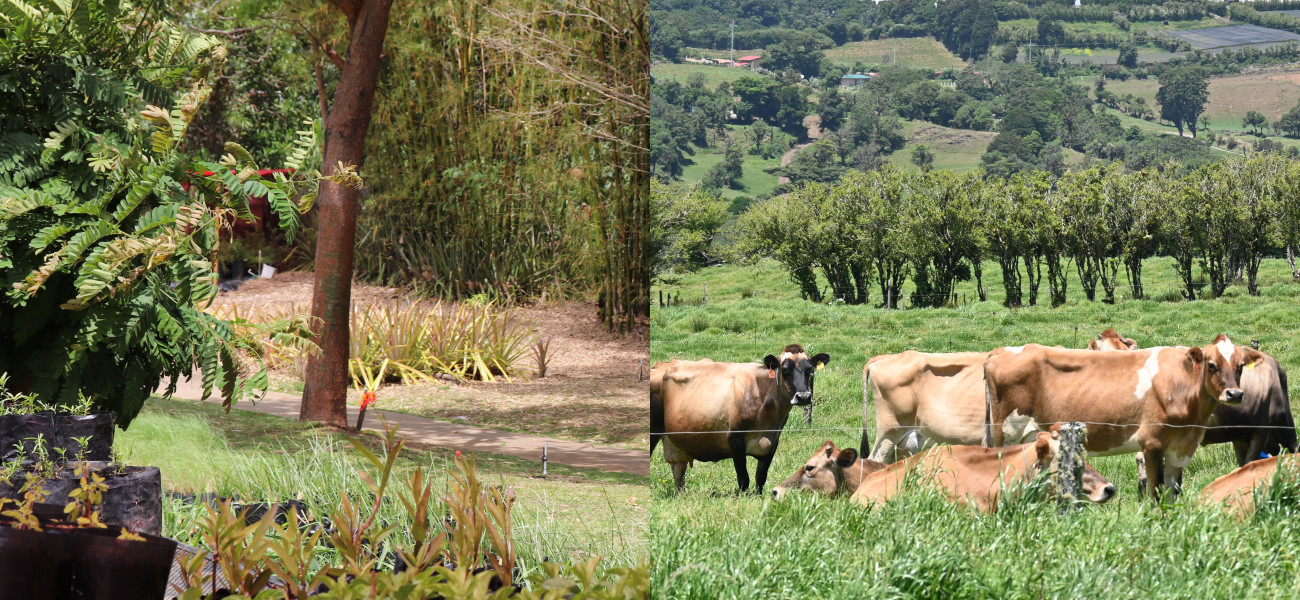 Giras de campo. Parque La Libertad y Finca La Valentina