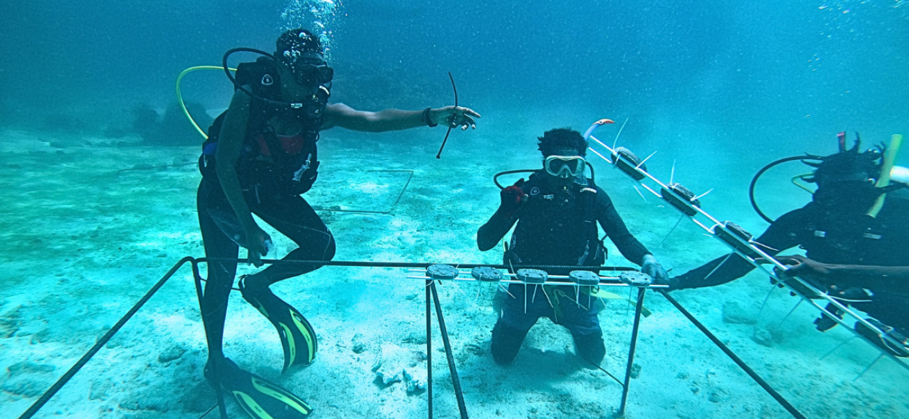 Caribbean Secures EUR 10 Million Top-Up for Ecosystem-Based Adaptation (EbA) Facility