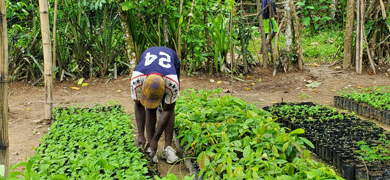 Comunitarios en sus implementaciones AbE